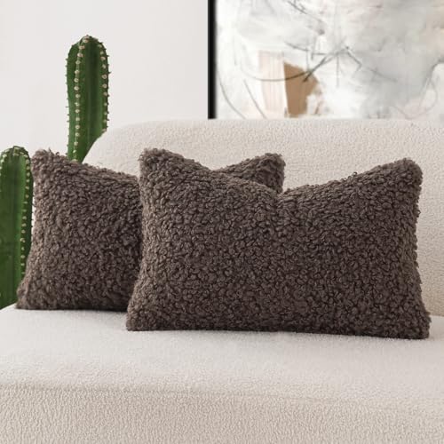 Image of Foindtower Set of 2 Curly Teddy Wool Pillow Covers Decorative Boucle Textured Lumbar Throw Pillow Faux Fur Pillowcases Sheepskin Cushion Case for Sofa Bedroom Car 12 inchx20 inch Chocolate