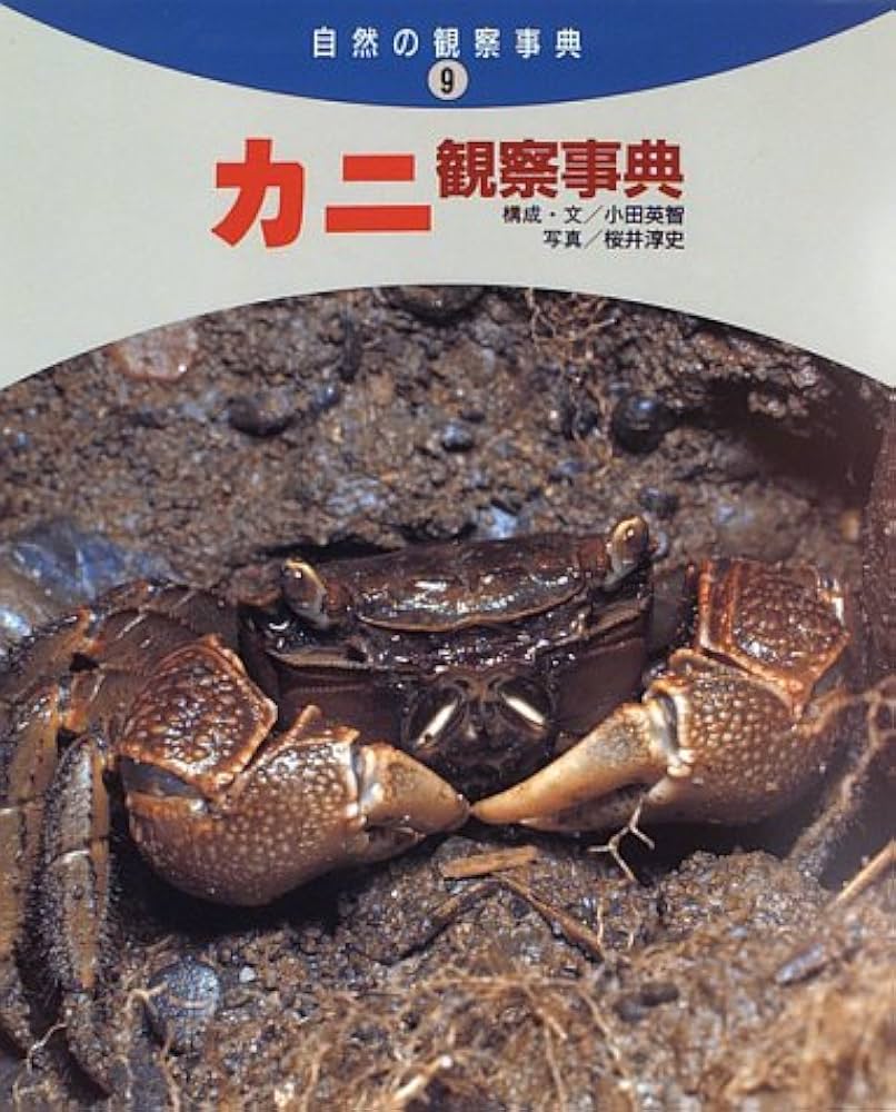 アメンボ観察事典/偕成社/小田英智（大型本） アメンボ観察事典 / 小田 英智【構成】/中谷 憲一【文・写真