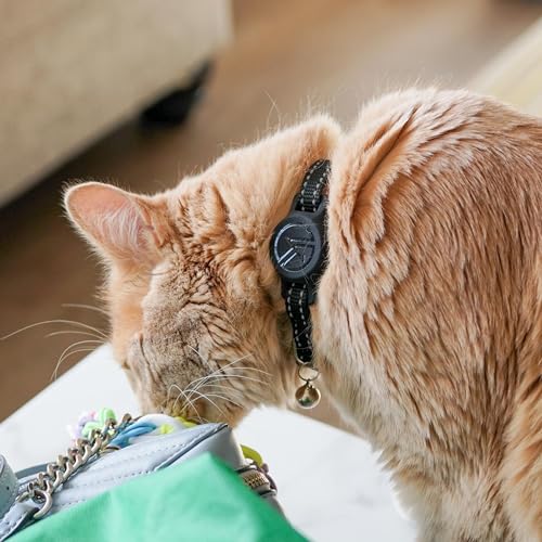 Étui pour chat Life360 violet compatible traceurs iPhone Samsung et Android - 7