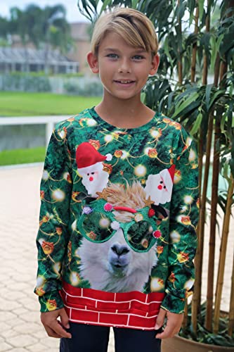 Lovekider Kids Christmas Ugly Sweater Shirt Boys Funny 3D Xmas Pullover Sweatshirt Inner Fleece Size 4-162