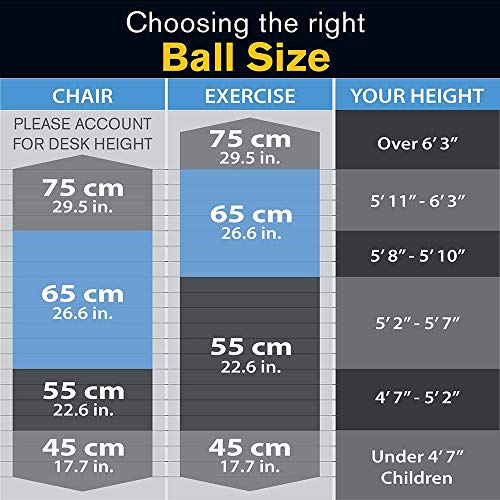 DYNAPRO Exercise Ball – Extra Thick Eco-Friendly & Anti-Burst Material Supports Over 2200lbs – Stability Ball for Home, Gym, Chair, Birthing Balls (Silver, 75 Centimeters)
