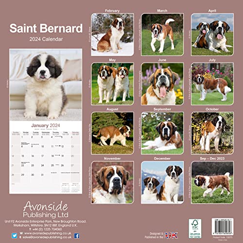 Saint Bernard Calendar 2024 - Image 2