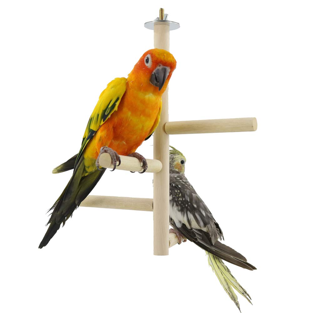 Buy YINGGE Bird Perch Branch Stand Toy, Natural Pepper Wood Parrot