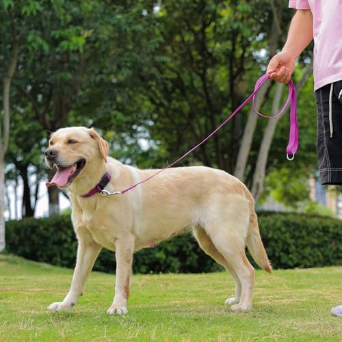 Image of Waterproof Dog Collar, Easy to Clean Rubber Dog Collars with Quick Release Buckle Fits Small Medium or Large Dogs (Purple, L < 15.4-24.8 inch)