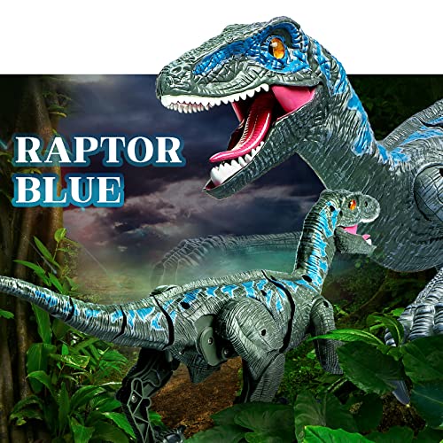 Hot Bee Jurassic Velociraptor Blue Toys, Rc Dinosaurs For Boys Age 4-7 8-12, Simulation Walking Toys W/ 3D Eye Led Light,Shaking Head & Roaring - Dinosaur World Robot Toys For Kids 5-7 8-12 #TOP2