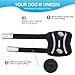 Dog Leg Braces for Rear Legs, Hock Brace for Back Legs with Metal Strips and Safety Reflective Straps for Short Legs, Joint Warps Support for Hind Legs Injuries Sprains Arthritis (XSmall)