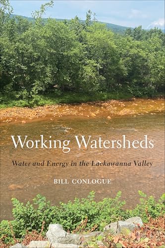 Working Watersheds: Water and Energy in the Lackawanna Valley (English Edition)