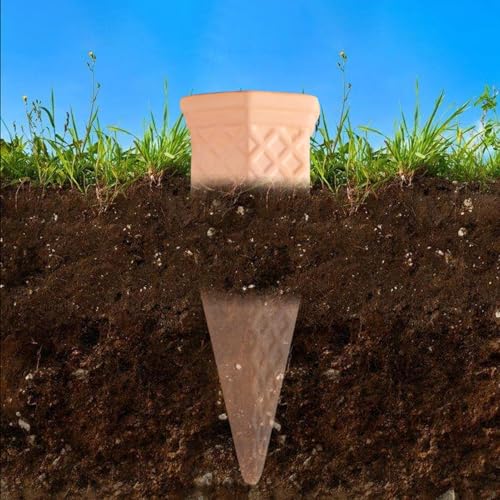Insert pour pot de fleurs en terre cuite : idéal pour vos succulentes - 4