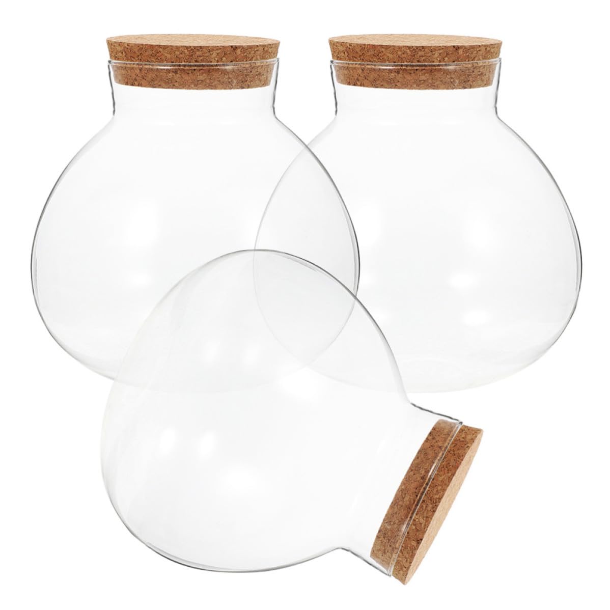 Bouteilles en verre sphériques pour mini paysage mousse et terrarium plante