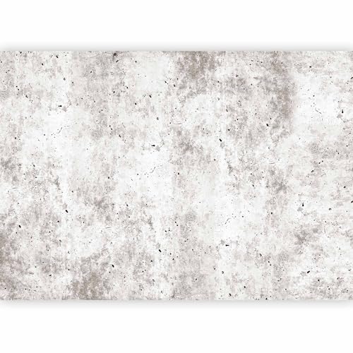 murando Fotomurales autoadhesivo Beton Optica 343x256 cm Papel Pintado Decoración de Pared Murales Pegatina decorativos adhesivos 3d moderna de Diseno Fotográfico moderno f C 0168 a a