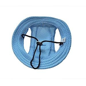 Princess Pet Hat Dog Caps Hats with Neck Strap Adjustable Comfortable Ear Holes for Small Medium and Large Dogs in Ourdoor Sun Protection m Blue  Cucciolini Doodles Princess pet hat dog caps hats with neck strap adjustable comfortable ear holes for small medium and large dogs in ourdoor sun protection m blue   cucciolini doodles