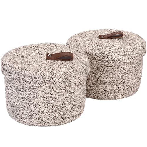 Sea Team Q_Zbg Rbg[voXPbg [oXPbg CNAbv[ ϔ {bNX  ӂ CeA i`  Cpc[ ~` p  킢 (}_uE 17×17×13cm)