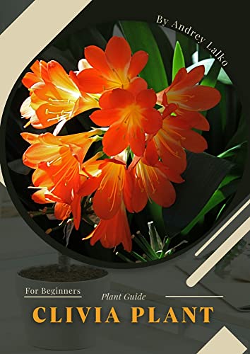 Clivia Plant: Plant Guide