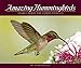 Amazing Hummingbirds: Unique Images and Characteristics (Wildlife Appreciation)