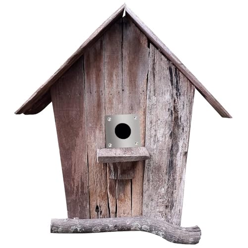 PLCatis Spechtschutz für Nistkasten 4 Stück Meisenkasten Vogelhaus Schutzplatte 32mm + 28mm Vogelnistkasten Edelstahl Zubehör für Nistkasten mit 16 Stück Schrauben