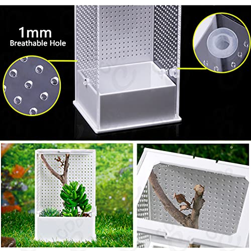 VOVEY Transparante Reptiel Voeding Doos Ademend Acryl Insect Fokken Doos met Klimmen Net Reptiel Fokken Case voor Mini… - Afbeelding 4