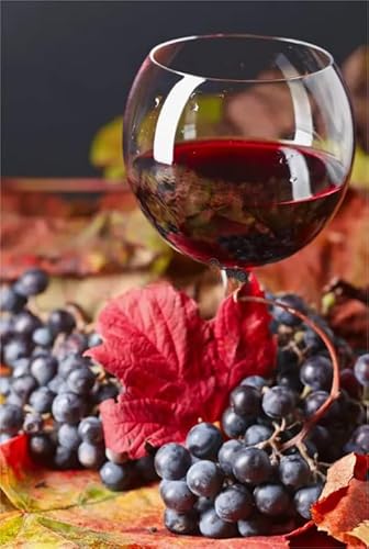 RUIYANMQ Jigsaw Puzzles 1000 Teilen Picture Wines Poster Kitchen for Adults Family Games Educational Toys Gt78Zw