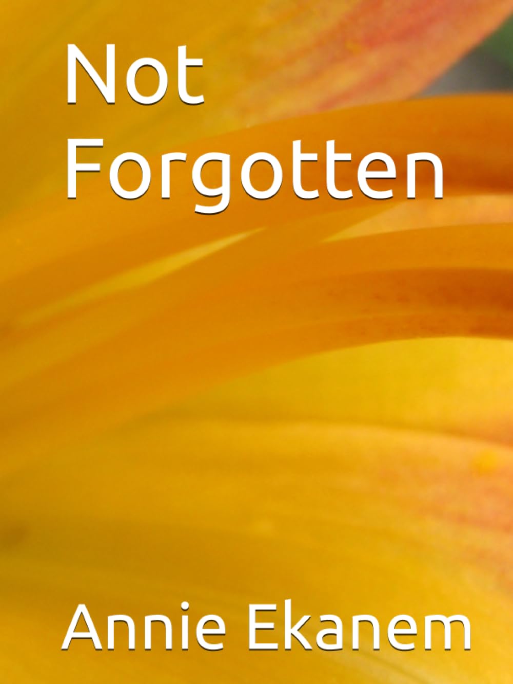 Not Forgotten Solution élégante pour conserver les messages de fête