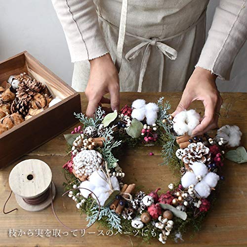 Amazon｜生花ドライ エダモノ コットン 綿 茶色 1本 切花 綿の実枝つき