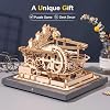 ROKR 3D Wooden Puzzles Marble Run Set - Mechanical Model Kit for Adults DIY Roller Coaster Toys Gifts for Adult (Marble Parkour)