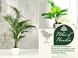 Palms of Paradise: A Complete Guide to Growing, Caring for, and Celebrating the Majesty of Indoor Palms