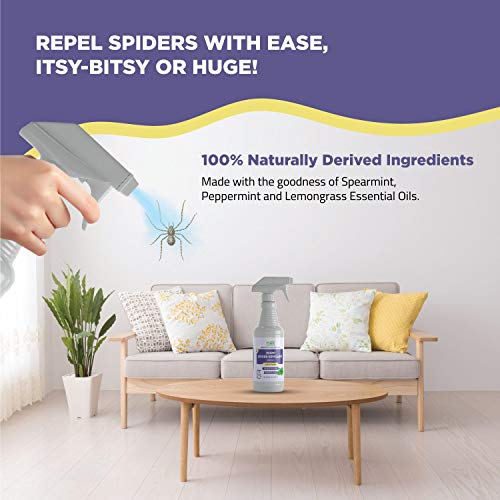 mdxconcepts Organic Spider Repellent Spray - Peppermint Oil - MADE IN USA - 16oz Natural Outdoor/Indoor Spray for Spiders, Insects and More - Long Lasting -Non Toxic - Thumbnail 5