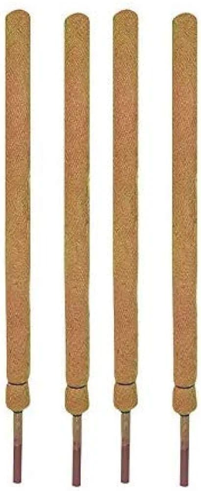 Bio Blooms Agro India Pvt. Ltd. Coco Pole - Coir Moss Stick | Plant Creepers Support | Brown | 4 feet | 4 Pieces | Indoor and Outdoor Uses | (B0CKXM4M52) Amazon Price History, Amazon Price Tracker