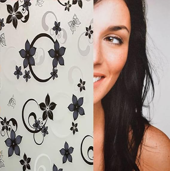 LIVECOOL Privacy Glass Frosted Window Film Heat Blocking Static Cling Frosting Window Film for Bathroom Home Office, (24 X 120 Inch, Blk Iris) (B0CWVSHW6K) Amazon Price History, Amazon Price Tracker