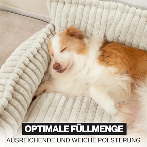 noviclass® Hundesofa Chaffar Hundebett | Orthopädische Matratze | Moderner Stil | Cord-Design Größen (Creme, XXL (140cm))