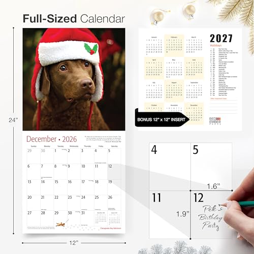 Image of RED EMBER Chesapeake Bay Retrievers Chessies 2026 Wall Calendar 12 Month | 12 inch x 24 inch Open | Thick & Sturdy Paper | Holiday Gift | Cute Puppy Dog Calendar 2026