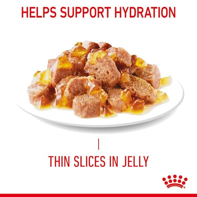 Royal Canin Light Weight Care in Gelee | 12 x 85 g | Nassfutter für Katzen | Zur Unterstützung für übergewichtige Katzen | Enthält Eisen, Mangan und Zink
