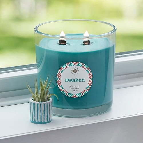 Miniatura 120 de Root Candles Seeking Balance Wood Wick Spa Candle Velas de aromaterapia, 6.5 onzas, Renovación: ciprés marino y hoja de cedro Renovación: Ciprés