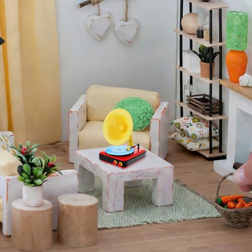 SUPERFINDINGS 18 Teile Mini Schallplatten Modell Kleine Puppenhaus Schallplatten 1:12 Maßstab Mini Vinyl Schallplattens Set Mikro Landschaft Deko Zubehör für DIY Basteln Mikro Landschaft Zubehör