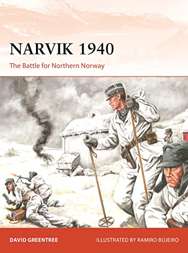 Narvik 1940 view 2