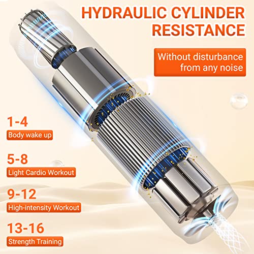 Niceday Hydraulic Rowing Machines For Home Use With 16-Level Adjustable Resistance And 300 Lb Loading Capacity #TOP3