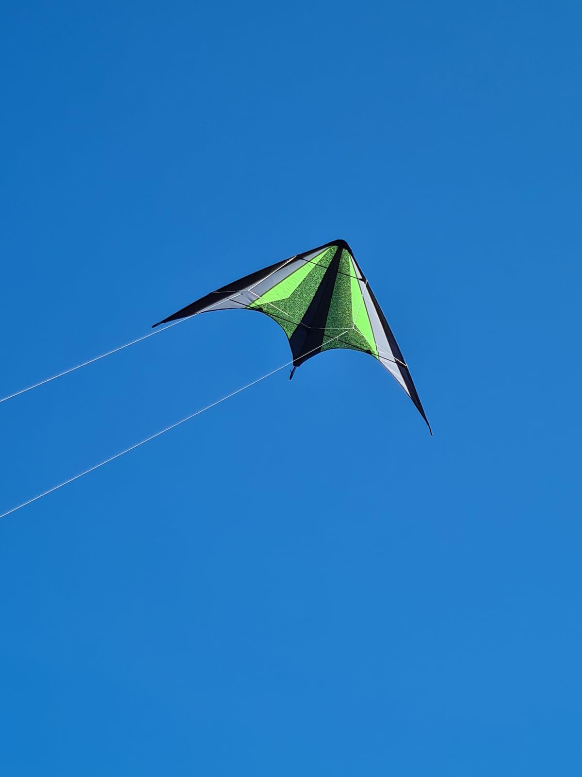 Günther Flugspiele 1077 - Cerf-Volant de Sport Neon Loop, env. 160 x 80 cm, cerf-Volant en Polyester Ripstop Robuste, pour Enfants à partir de 10 Ans, y Compris Cordes de Haute qualité