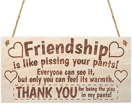 Best Friend Plaque Friendship Is Like Pissing Your Pants Wooden Sign by meijiafei