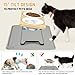 Lannvan Katzennapf Erhöht, 2er Set Futternapf Katze aus Keramik mit Napfunterlage Silikon, Ergonomischer Futterstation 15°gekippte Katzen Hundenapf,Fressnapf und Wassernapf für Katzen und kleine Hunde