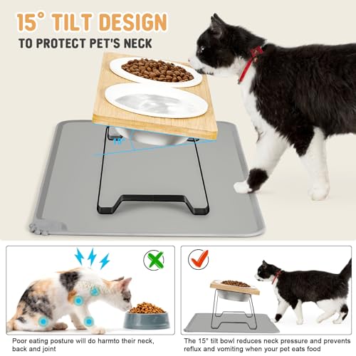 Lannvan Katzennapf Erhöht, 2er Set Futternapf Katze aus Keramik mit Napfunterlage Silikon, Ergonomischer Futterstation 15°gekippte Katzen Hundenapf,Fressnapf und Wassernapf für Katzen und kleine Hunde