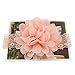Baby Girls Headbands Chiffon Flower Soft Lace Band Big Bow Hair Accessories for Newborn Infants Toddlers Girls 12PCS