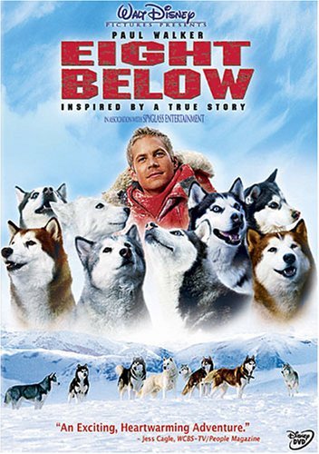 Eight Below avec Paul Walker le DVD parfait pour vos soirées cinéma en famille