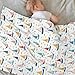 Baby Blanket Boats Childish for Boy Girl Newborn 30x40 Inch Toddler Infant Nursery Throw Blankets Double Layer Comfy Soft Plush Stroller Crib Quilt