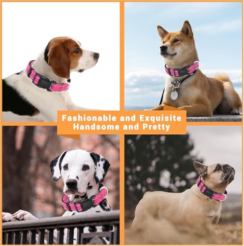 Image of Petology Reflective Adjustable Dog Collar for X-Large Dogs (50-60 cms) | Soft Neoprene Padded Nylon Pet Collar with Safe & Quick Release Buckle | Comfortable, Lightweight & Durable