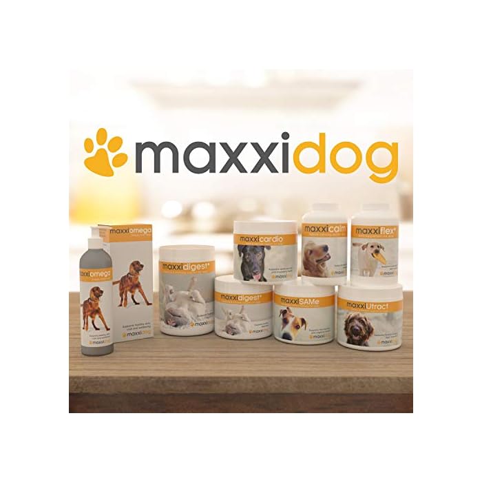 maxxipaws - maxxiflex+ Hip & Joint Supplement for Dogs with Glucosamine, Chondroitin, MSM & Collagen | Mobility, Flexibility & Discomfort Support | Senior, Adult & All Breeds | 120 Tablets - Image 10