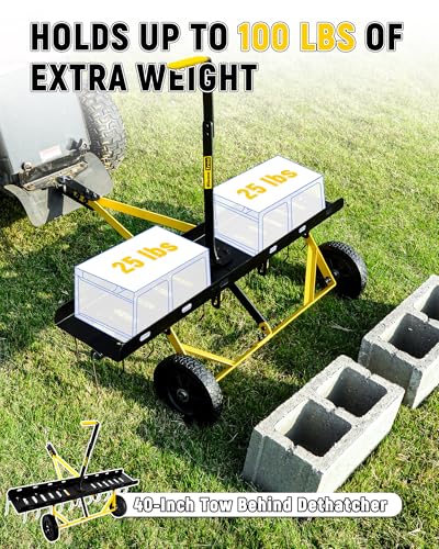 BlumeTrec 40 Inch Tow Behind Dethatcher, Pull Behind Lawn Dethatcher with 20 Spring Steel Tines, Grass Dethatcher, Removes Thatch, Riding Lawn Tractor for Large Lawns, Yard and Garden Care