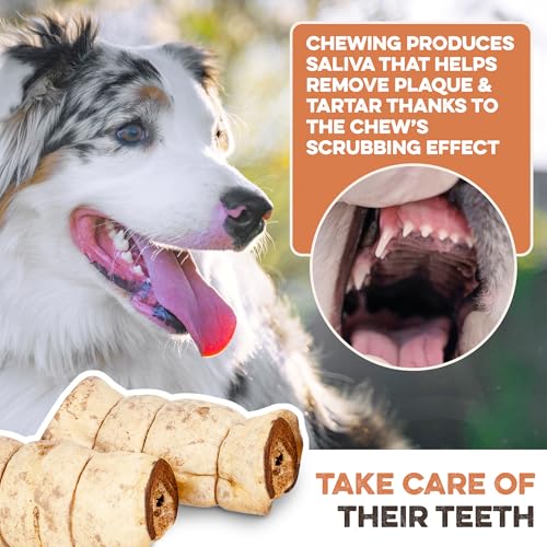 Premium Beef Cheek Rolls for Dogs 5-7" - (1-Pack), Peanut Butter Flavored Long Lasting, Safe & Natural Rawhide Alternative Chews, Ideal for Large Dogs & Aggressive Chewers, Supports Dental Health