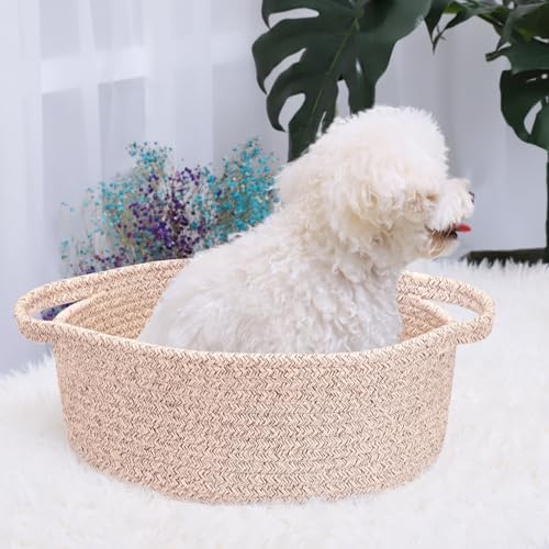 Image of ABenkle Small Basket with Handles, Boho Decorative Rope Woven Dog Cat Toy Storage Bin Shelf Storage Organizer, Easter Christmas Gift Basket, 12 inchx8 inchx5 inch