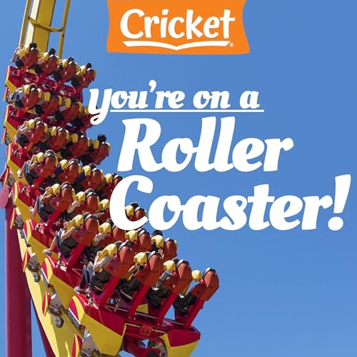 You're on a Roller Coaster! by Amy Tao episode artwork