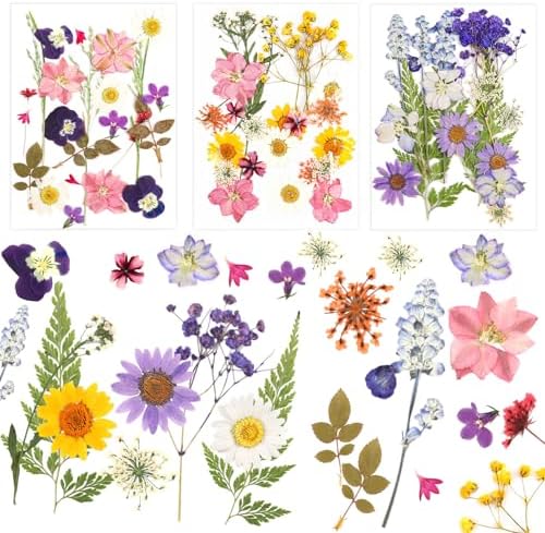 BAOSROY Fleurs Séchées,Fleur Sechees Naturel,Melange Fleurs Séchées