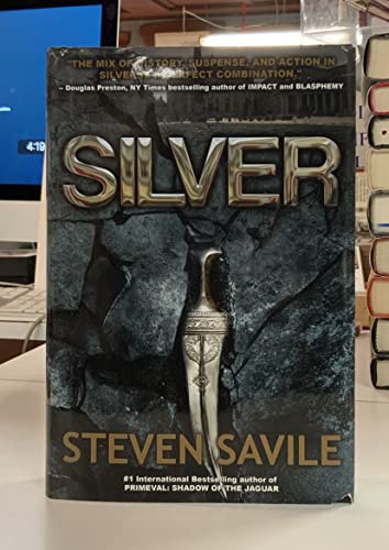 Silver view 2